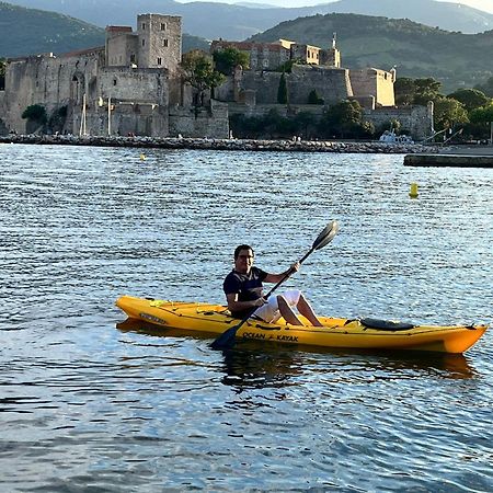 Willa Maison Sur La Roche, Vue Mer Exceptionnelle, Parking Prive, Quartier Historique, Calme Collioure Zewnętrze zdjęcie